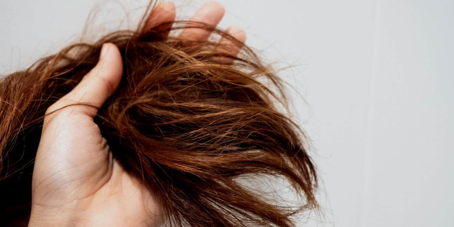 Oily roots and dry ends: how to properly care